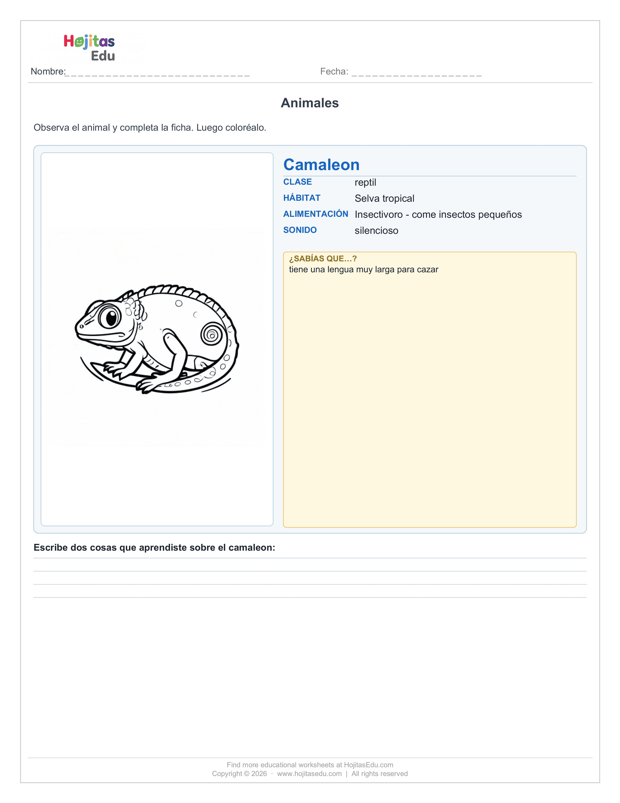 Animal Camaleon